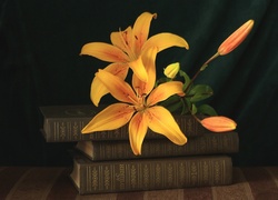 Kwiaty, Lilie, Książki