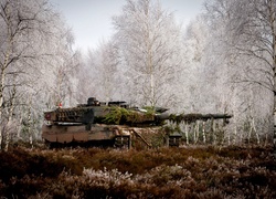 Czołg, Leopard 2a5, Trawa, Brzozy