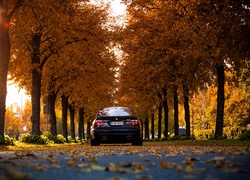 Jesień, Droga, Samochód, BMW, Drzewa
