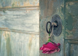 Drzwi, Zamek, Klucz, Róża