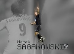 Piłkarz,Saganowski