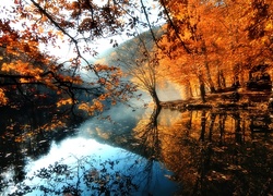 Jesień, Mgła, Rzeka, Drzewa