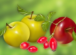 Jabłka, Dzika róża, Owoce, Art