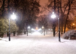 Park, Śnieg, Latarnie