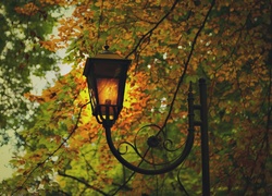 Jesień, Drzewa, Liście, Latarnia, Park