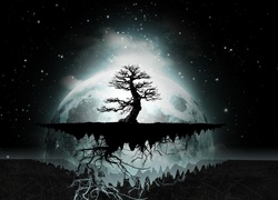 Drzewo, Korzenie, Planeta, Światło