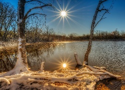 Zima, Jezioro, Drzewa, Promienie, Słońca