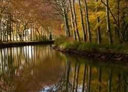 Jesień, Rzeka, Las, Drzewa, Odbicie