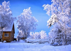 Zima, Dom, Ośnieżone, Drzewa