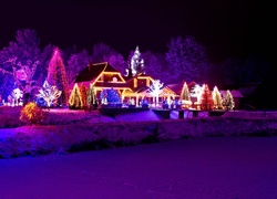 Boże, Narodzenie, Zima, Dom, Drzewa, Oświetlenie