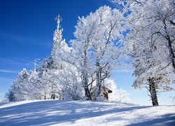 Zima, Drzewa, Domek
