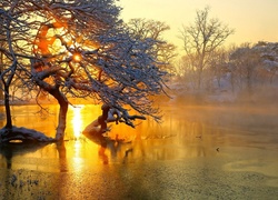 Zima, Rzeka, Drzewa, Mgła, Zachód, Słońca