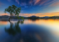 Nowa Zelandia, Jezioro Wanaka, Zachód słońca, Drzewo, Góry