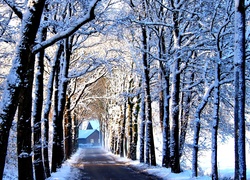 Zima, Śnieg, Droga, Drzewa, Dom