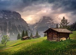 Domki, Góry, Łąka, Chmury, Szwajcaria