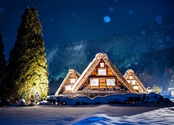 Domy, Śnieg, Drzewa