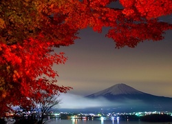 Japonia, Wulkan Fudżi, Oświetlone Miasto, Natura, Drzewo