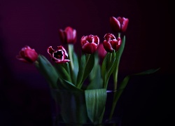 Tulipany, Wazon, Czarne,Tło