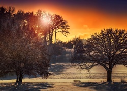 Zima, Zachód, Słońca, Drzewa