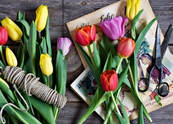 Kwiaty, Tulipany, Nożyce, Sznurek, Gazeta
