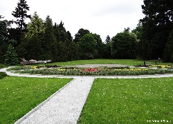 Park, Kwiaty, Alejka, Ławka