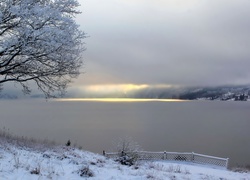 Zima, Jezioro, Drzewo, Przebijające, Słońce