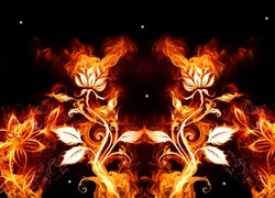 Grafika, Kwiaty, Ogień