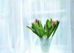 Tulipany, Wazon, Okno