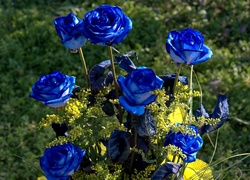 Bukiet, Niebieskie, Róże, Żółte, Kwiaty
