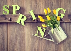 Kwiaty, Tulipany, Konewka, Wiosna