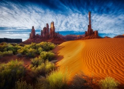 Pustynia, Skały, Krzewy, Niebo, Arizona, USA