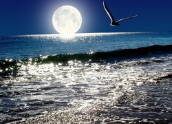 Morze, Mewa, Księżyc, Noc