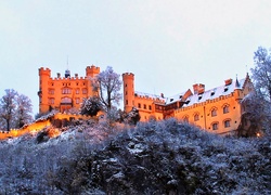 Zamek, Hohenschwangau, Zima, Drzewa, Świt