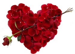Walentynka, Czerwona, Róża, Płatki, Serce