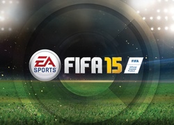 Logo, Fifa 2015