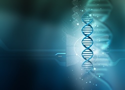 Łańcuch, DNA, 3D