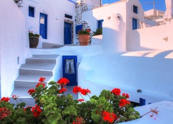Dom, Kwiaty, Santorini