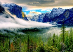 Stany Zjednoczone, Stan Kalifornia, Park Narodowy Yosemite, Góry, Drzewa, Mgła
