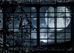 Okno, Kraty, Księżyc, Noc, Ptaki