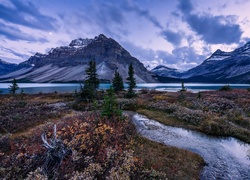 Kanada, Park Narodowy Banff, Góry, Jezioro Bow Lake, Drzewa