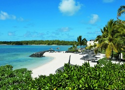 Mauritius, Plaża, Ocean, Niebo