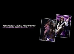 Red Hot Chili Peppers,gitarzysta