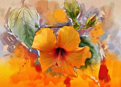 Hibiskus, Pomarańczowy, Kwiat, Tekstura, Grafika