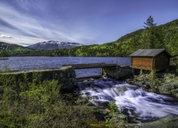 Szopa, Góry, Lasy, Jezioro, Norwegia