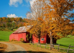 Dom, Przy, Drodze, Jesień, Anglia, Vermont