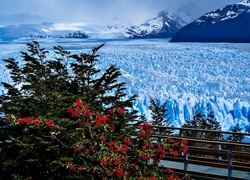 Zima, Lodowiec, Perito Moreno, Park Narodowy Los Glaciares, Prowincja Santa Cruz, Argentyna