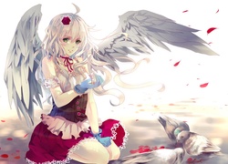 Dziewczyna, Anioł, Gołębie, Manga, Anime, Fantasy
