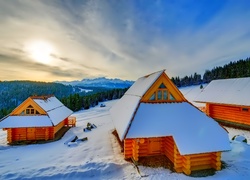 Zima, Śnieg, Góry, Las, Polska