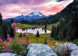 Stany Zjednoczone, Stan Waszyngton, Park Narodowy Mount Rainier, Jezioro Tipsoo, Góry, Lasy