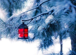 Zima, Ośnieżone, Drzewo, Lampion, Świąteczny, Dekoracja